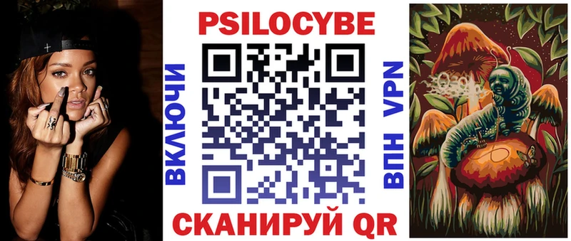 где купить наркоту  Моршанск  Псилоцибиновые грибы Cubensis 